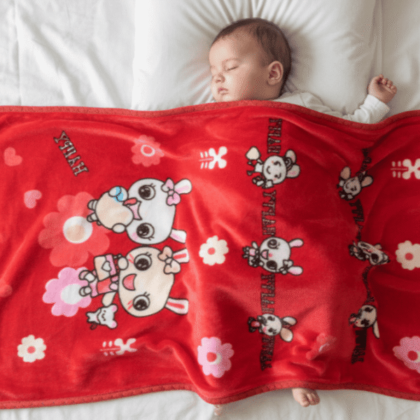 Big Size Double Layer Velvet Blanket